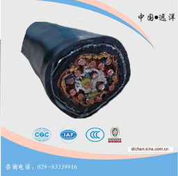 西安电线电缆厂 计算机电缆与控制电缆价格解析及高清大图鉴赏